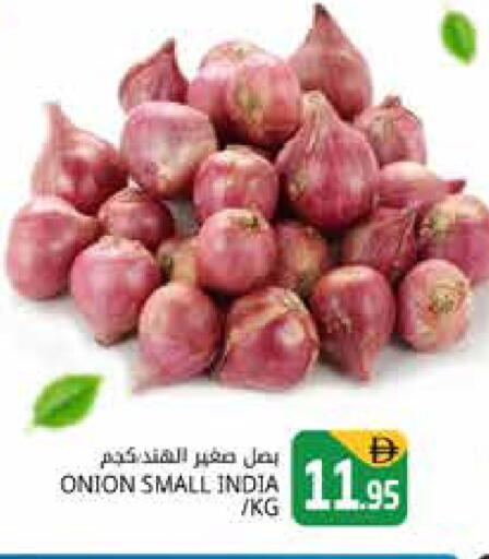 Onion from India available at Pasons Hypermarket in UAE - Dubai