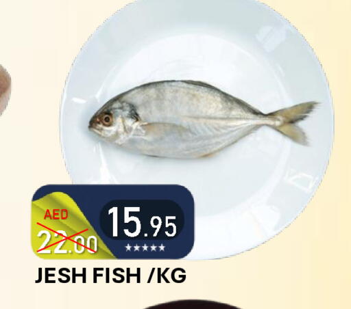 available at رويال جلف هايبرماركت in الإمارات العربية المتحدة , الامارات - أبو ظبي
