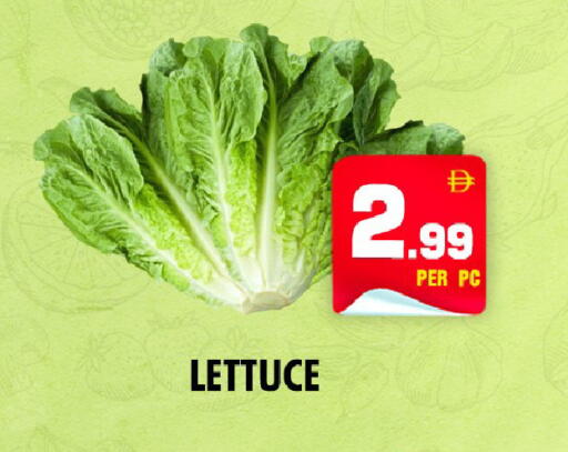 Lettuce available at NIGHT TO NIGHT DEPARTMENT STORE in UAE - Dubai