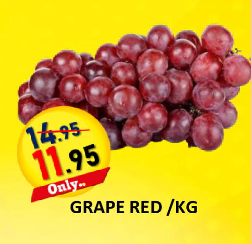 available at رويال جلف هايبرماركت in الإمارات العربية المتحدة , الامارات - أبو ظبي