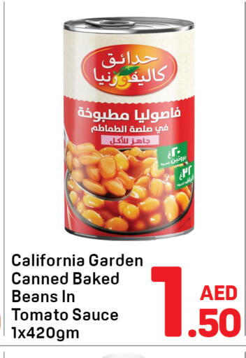Tomato available at Day to Day Department Store in UAE - Dubai