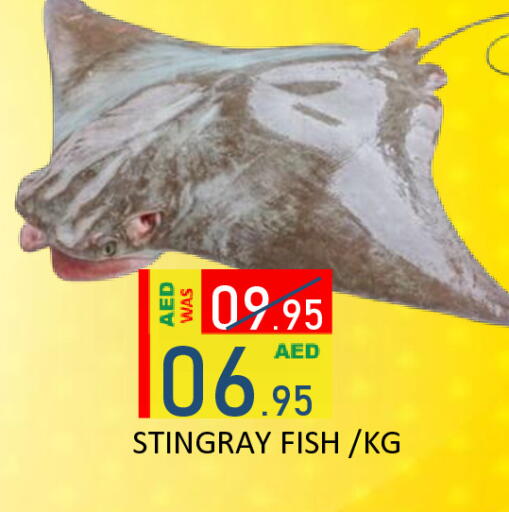 available at رويال جلف هايبرماركت in الإمارات العربية المتحدة , الامارات - أبو ظبي