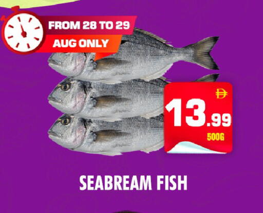 available at NIGHT TO NIGHT DEPARTMENT STORE in UAE - Dubai