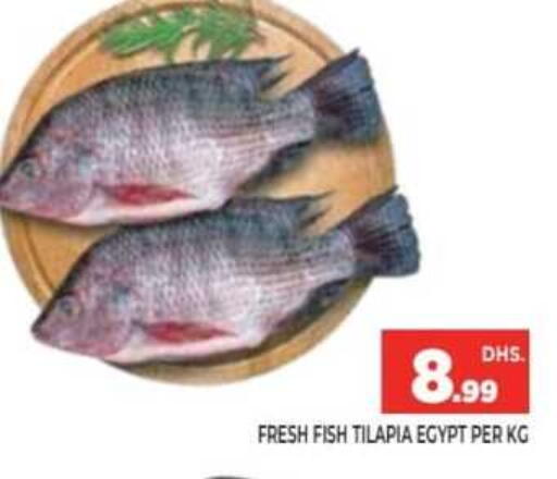 available at Ainas Al madina hypermarket in UAE - Sharjah / Ajman