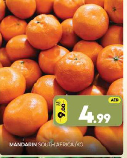 Mandarin from South Africa available at Al Madina  in UAE - Sharjah / Ajman