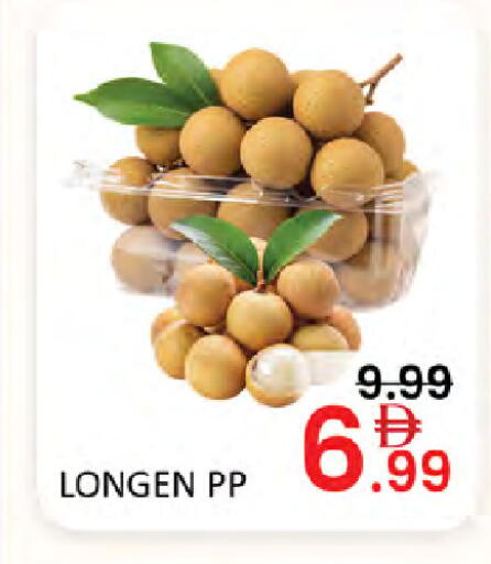 available at المدينة in الإمارات العربية المتحدة , الامارات - دبي