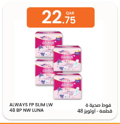 available at Al Baladi Al Yawm in Qatar - Doha