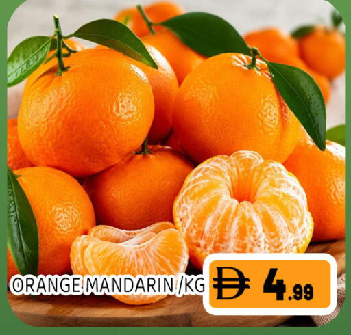 Orange Mandarin available at Ain Al Madina Hypermarket in UAE - Sharjah / Ajman