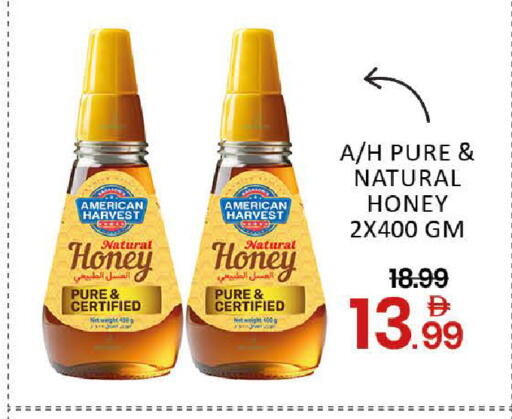 Mango available at Mango Hypermarket LLC in UAE - Dubai