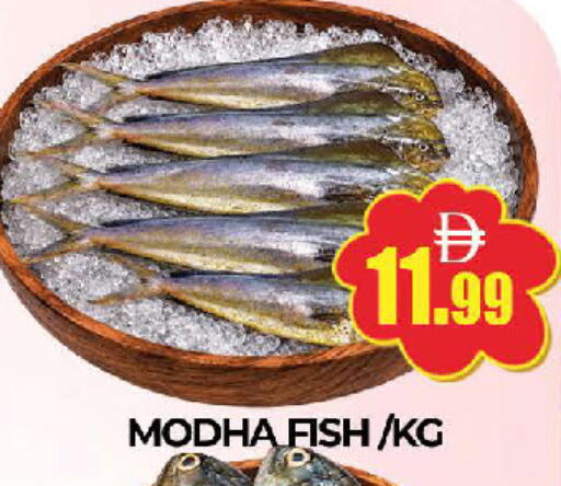 available at AL MADINA (Dubai) in UAE - Dubai