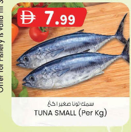available at ك. الم. للتجارة in الإمارات العربية المتحدة , الامارات - أبو ظبي