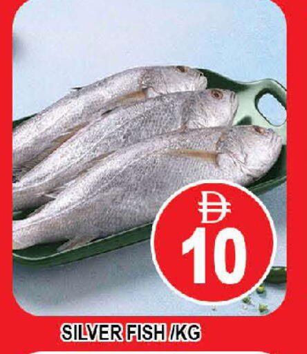available at المدينة in الإمارات العربية المتحدة , الامارات - دبي