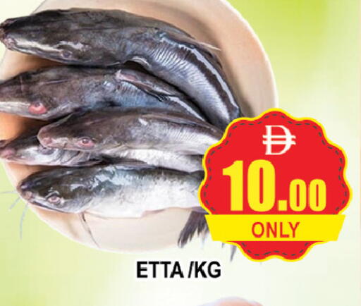 available at AL MADINA (Dubai) in UAE - Dubai