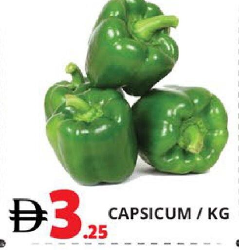 Capsicum available at اكسبرس المدينة هايبرماركت in الإمارات العربية المتحدة , الامارات - أبو ظبي