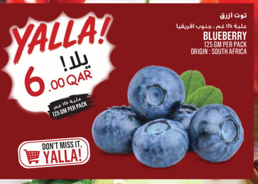 Blueberry BlueBerry from South Africa available at مونوبريكس in قطر - الخور