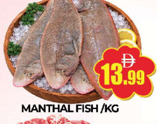 available at AL MADINA (Dubai) in UAE - Dubai
