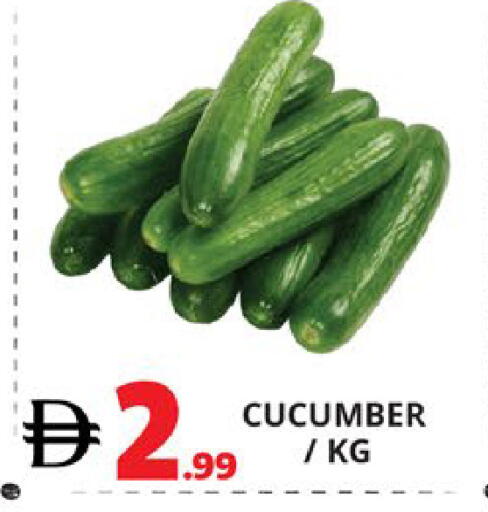 Cucumber available at اكسبرس المدينة هايبرماركت in الإمارات العربية المتحدة , الامارات - أبو ظبي