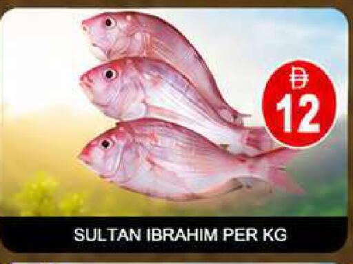 available at AL MADINA (Dubai) in UAE - Dubai