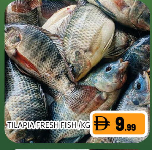 available at Ain Al Madina Hypermarket in UAE - Sharjah / Ajman