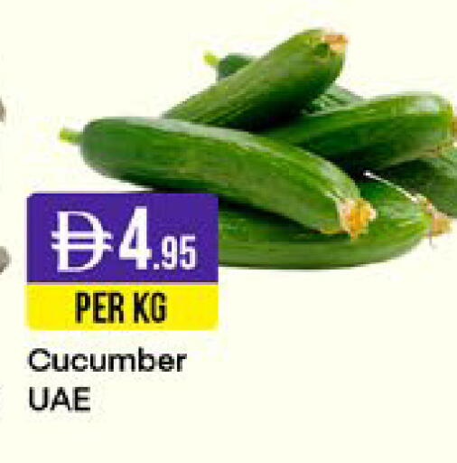 Cucumber available at West Zone Supermarket in UAE - Sharjah / Ajman