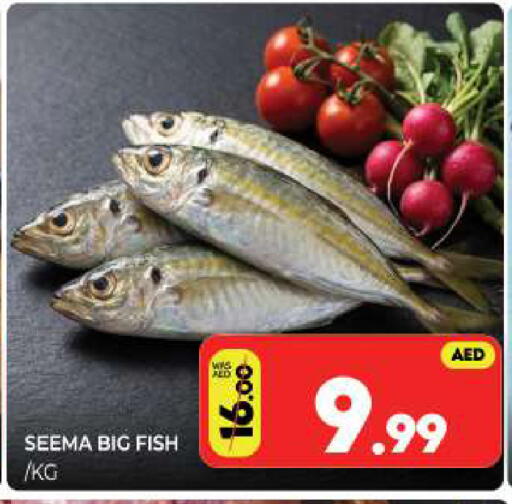 available at Al Madina  in UAE - Sharjah / Ajman