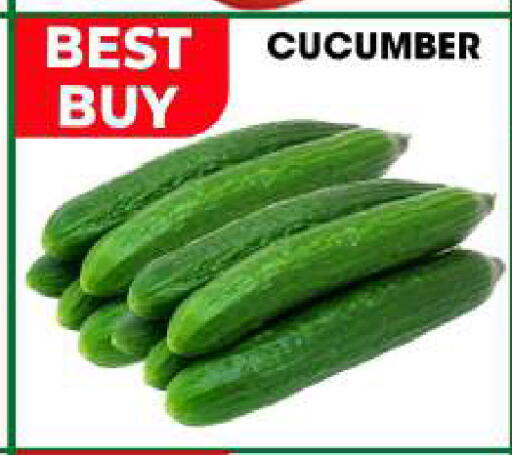 Cucumber available at Centro Discount Center in UAE - Sharjah / Ajman
