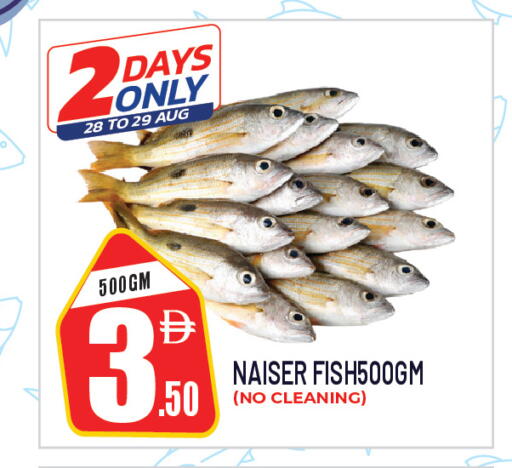 available at دريم لاند in الإمارات العربية المتحدة , الامارات - الشارقة / عجمان
