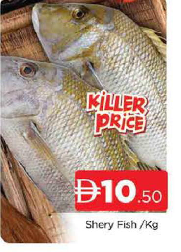 available at AL MADINA (Dubai) in UAE - Dubai