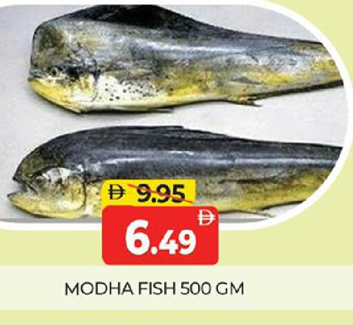 available at المدينة in الإمارات العربية المتحدة , الامارات - دبي