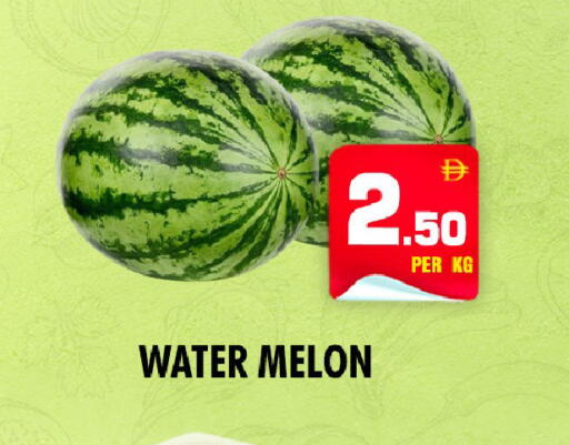 Melon available at NIGHT TO NIGHT DEPARTMENT STORE in UAE - Dubai