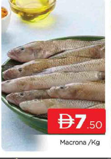 available at المدينة in الإمارات العربية المتحدة , الامارات - دبي