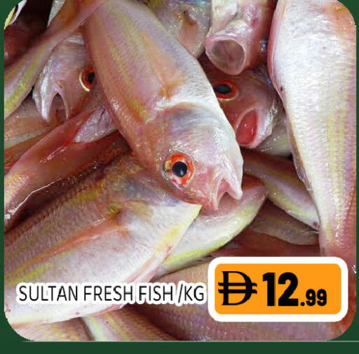 available at Ain Al Madina Hypermarket in UAE - Sharjah / Ajman