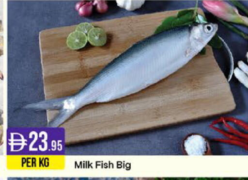 available at West Zone Supermarket in UAE - Sharjah / Ajman
