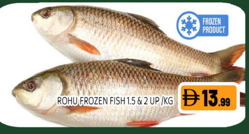 available at Ain Al Madina Hypermarket in UAE - Sharjah / Ajman