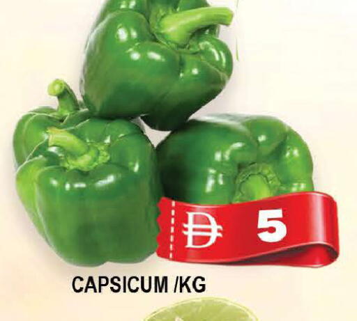 Capsicum available at المدينة in الإمارات العربية المتحدة , الامارات - دبي