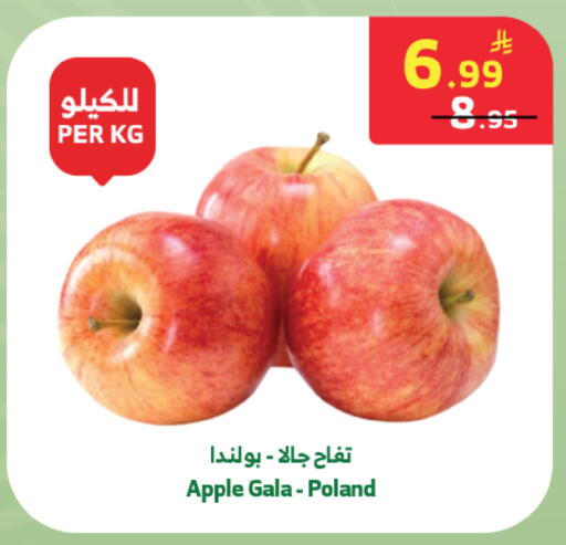 Apple from Poland available at Al Raya in KSA, Saudi Arabia, Saudi - Medina