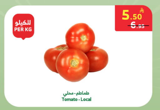 Tomato available at الراية in مملكة العربية السعودية, السعودية, سعودية - خميس مشيط