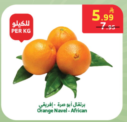 Orange available at الراية in مملكة العربية السعودية, السعودية, سعودية - خميس مشيط