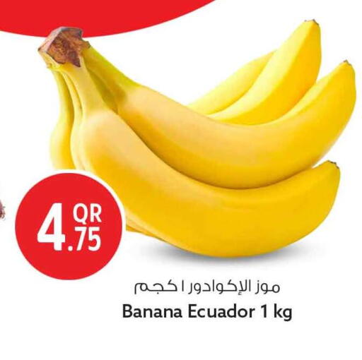 Banana from Ecuador available at سفاري هايبر ماركت in قطر - الوكرة