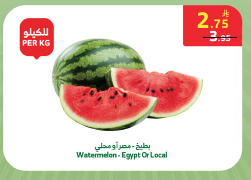Watermelon from Egypt available at الراية in مملكة العربية السعودية, السعودية, سعودية - خميس مشيط