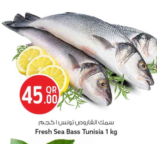 available at سفاري هايبر ماركت in قطر - الدوحة