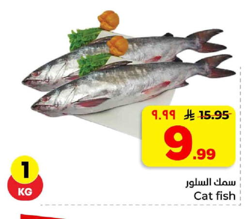 available at هايبر الوفاء in مملكة العربية السعودية, السعودية, سعودية - جدة