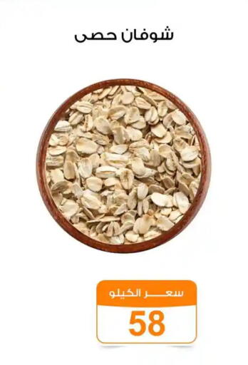 available at جملة ماركت in Egypt - القاهرة