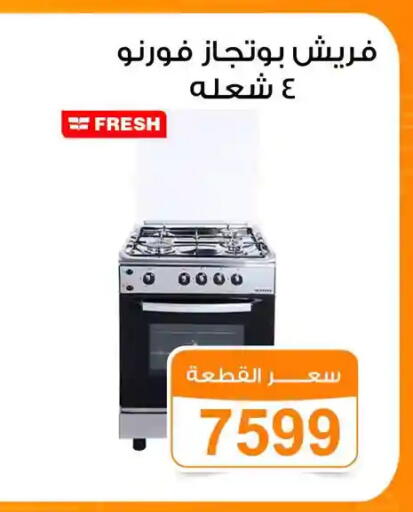 available at جملة ماركت in Egypt - القاهرة