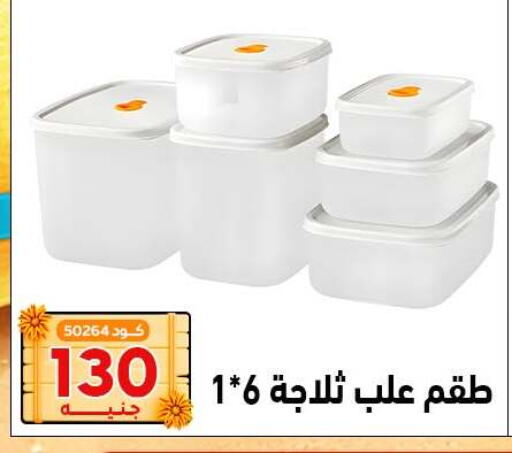 available at Center Elzelzal in Egypt - Cairo