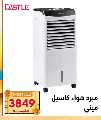available at Center Elzelzal in Egypt - Cairo