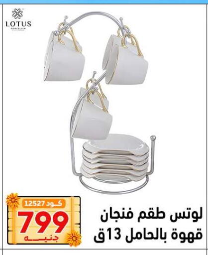 available at Center Elzelzal in Egypt - Cairo