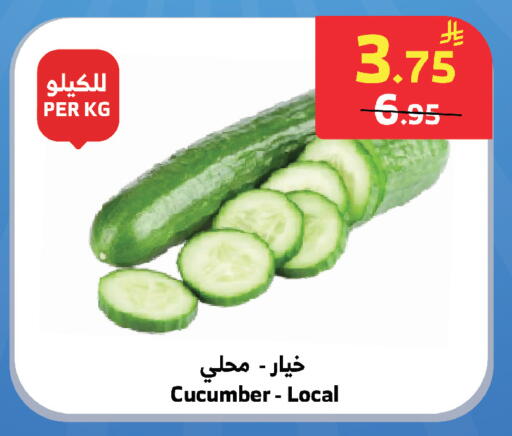 Cucumber available at الراية in مملكة العربية السعودية, السعودية, سعودية - تبوك