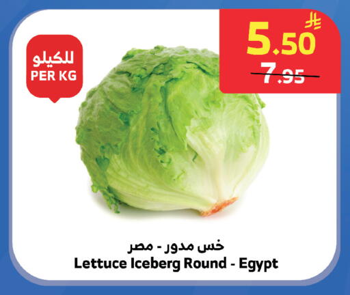 Lettuce from Egypt available at الراية in مملكة العربية السعودية, السعودية, سعودية - تبوك
