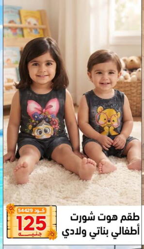 available at Center Elzelzal in Egypt - Cairo